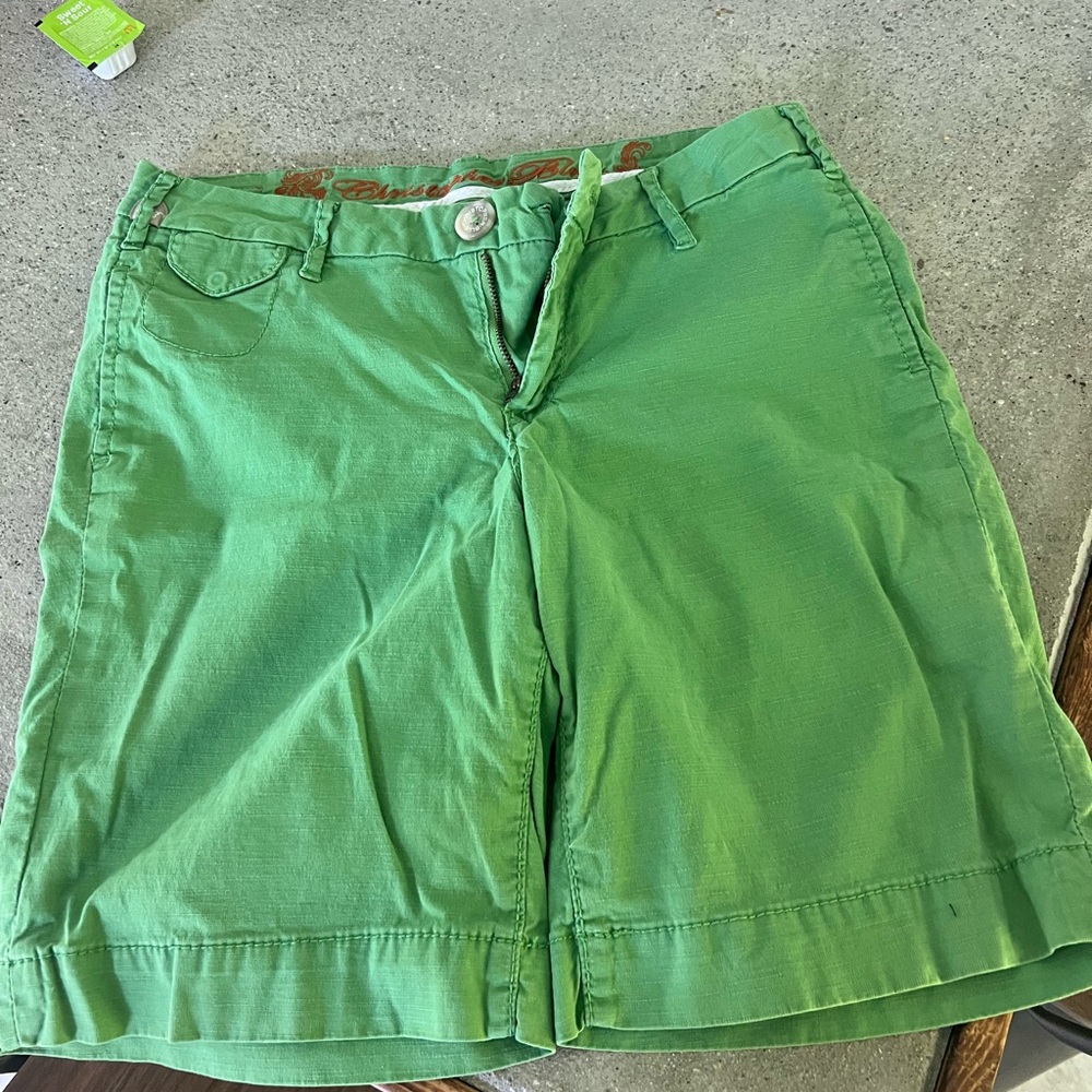 Christopher Blue Green Bermudas Lightweight Casual Shorts